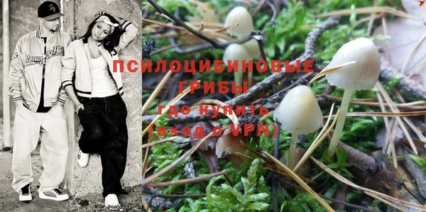 MDMA Бородино