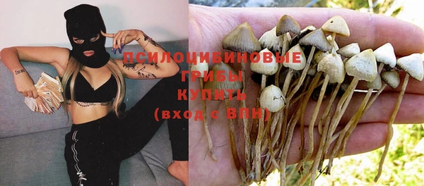 MDMA Бородино